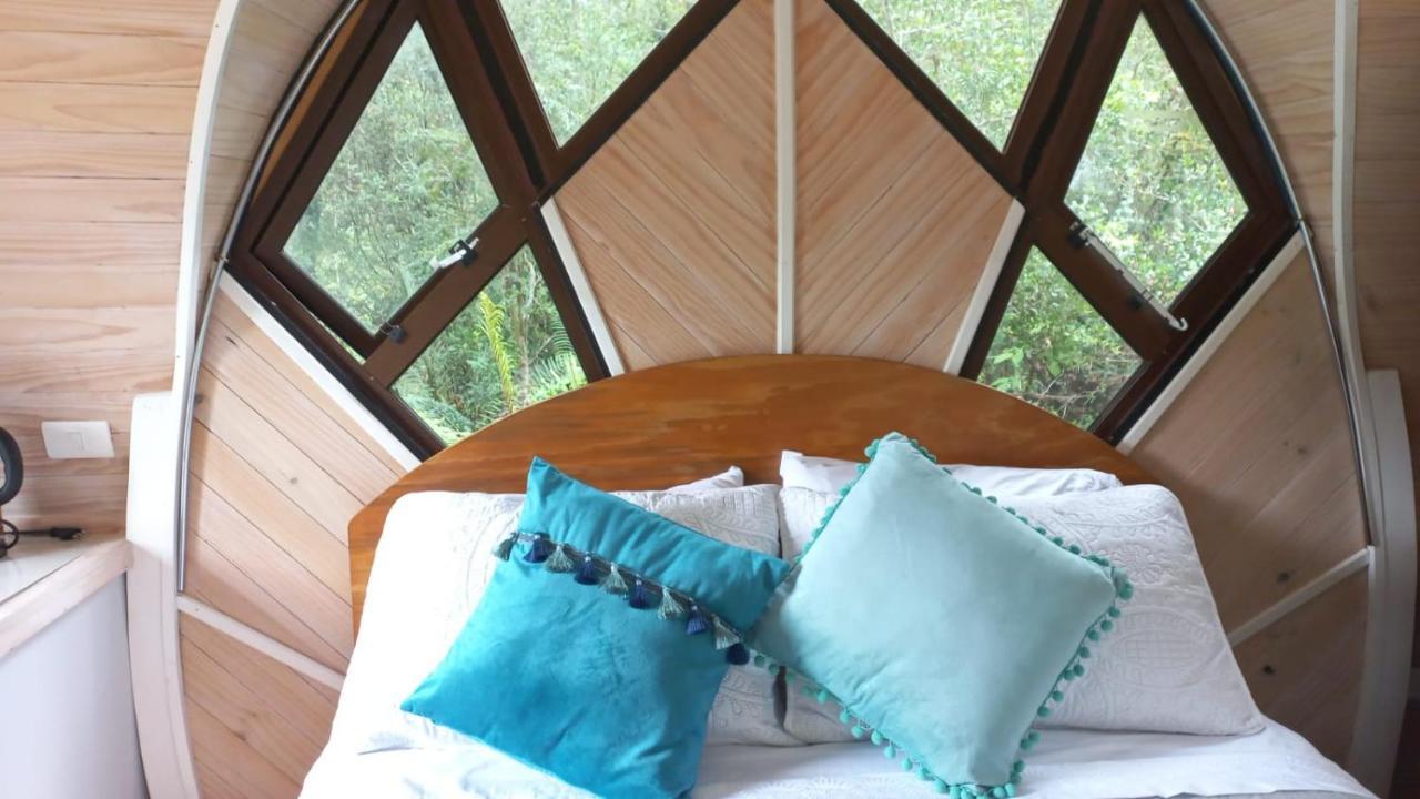 Cabanas Los Volcanes Ensenada Puerto Varas Eksteriør billede
