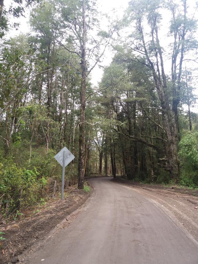 Cabanas Los Volcanes Ensenada Puerto Varas Eksteriør billede